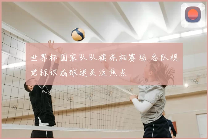 世界杯国家队队旗亮相赛场 各队视觉标识成球迷关注焦点
