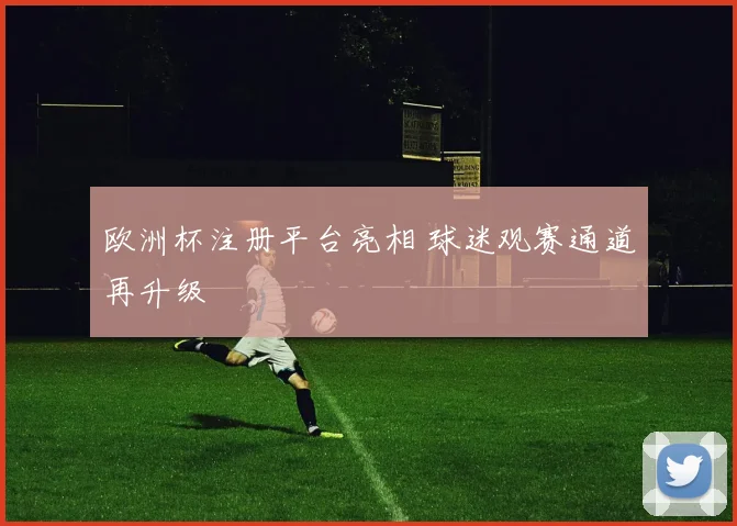 欧洲杯注册平台亮相 球迷观赛通道再升级