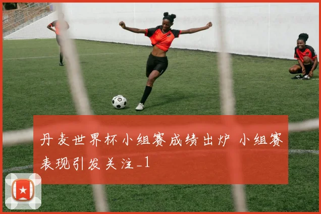 丹麦世界杯小组赛成绩出炉 小组赛表现引发关注_1