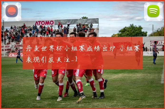 丹麦世界杯小组赛成绩出炉 小组赛表现引发关注_1